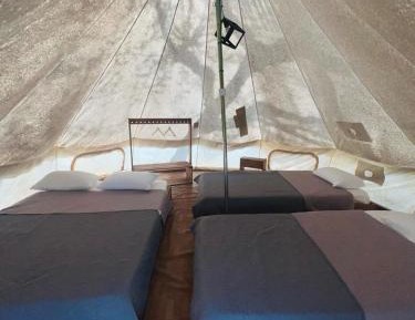 Tent (no pets)