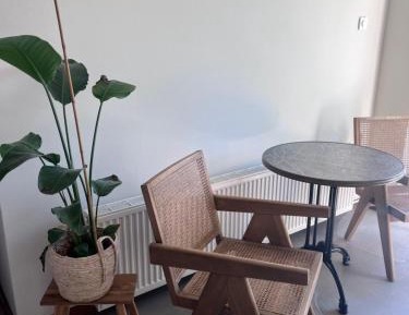 Studio with Terrace