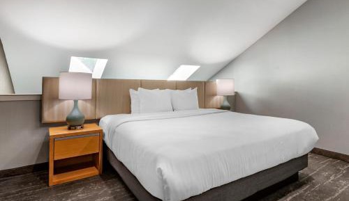 Deluxe King Suite