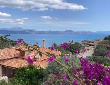 One-Bedroom Apartment with View