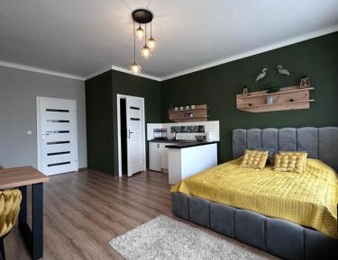 Studio Apartment