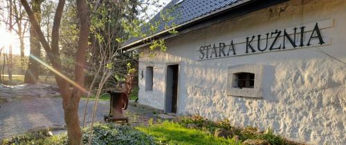 Family Studio