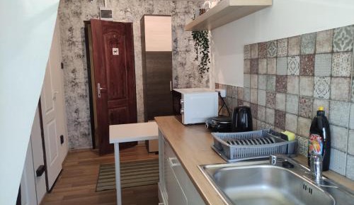 One-Bedroom Family Apartment