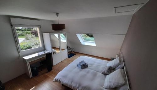 Large Twin Room
