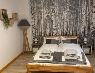 King Room with Garden View