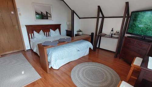 Double or Twin Room with Balcony