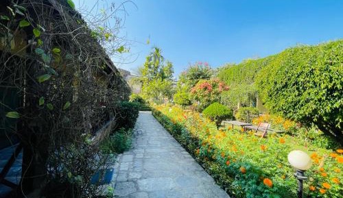 Standard Double Room with Fan