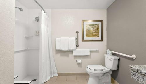 King Room with Roll-In Shower - Mobility/Hearing Accessible
