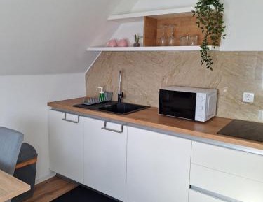 Studio with Mountain View