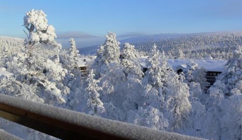 One-Bedroom Apartment with Sauna