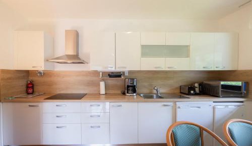 Two-Bedroom Apartment with Mountain View