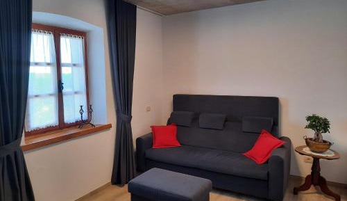 One Bedroom Apartment with Shared Terrace