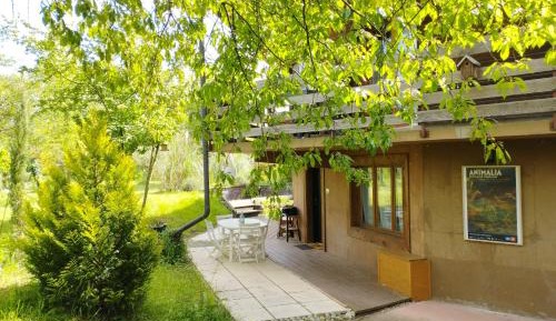 Apartment with Garden View