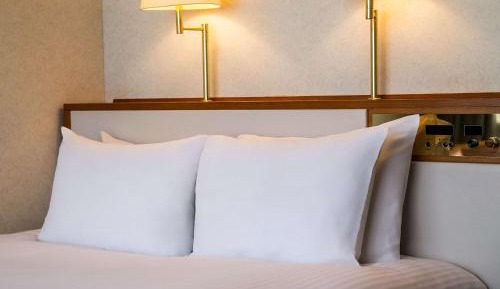 Japanese-Western Style Classic Deluxe Suite with Two Single Beds and Two Futon Beds