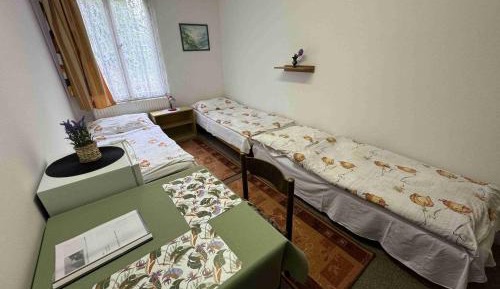 Economy Triple Room