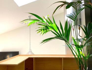 Deluxe Double Studio