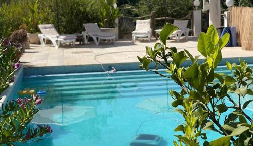 Deluxe Bungalow with Garden View