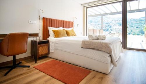 Deluxe Double or Twin Room with Mountain View