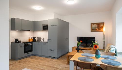 Deluxe One-Bedroom Apartment