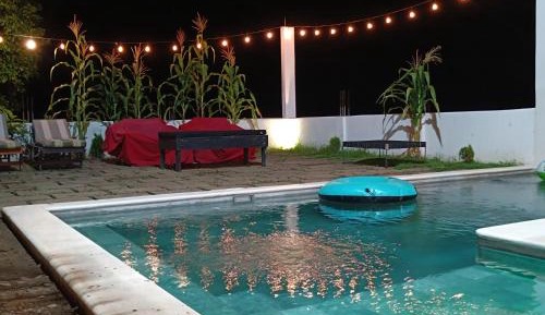 One-Bedroom Apartment with Pool View