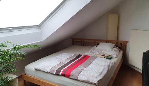 Double Room with Shared Bathroom