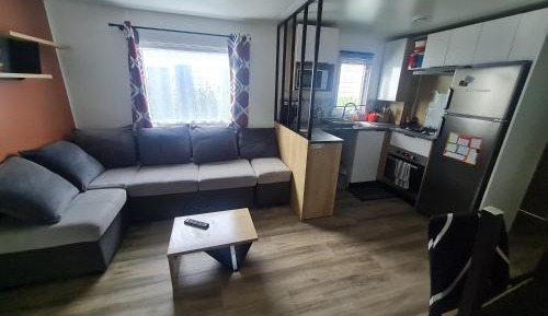 Mobile Home