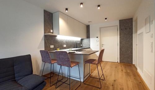 One-Bedroom Apartment with Terrace