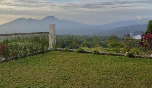 Family Bungalow