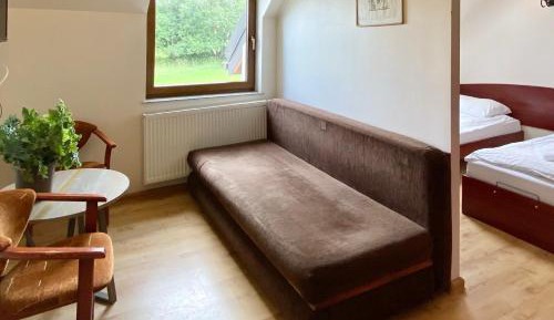 King Studio with Sofa Bed