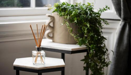 One-Bedroom Apartment - Earn