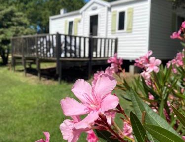Mobile Home