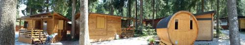 Mobile Home