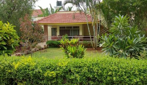Deluxe Bungalow