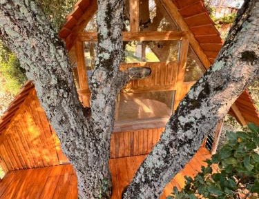 One-Bedroom Cottage