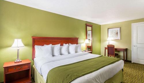 King Room with Roll-In Shower - Accessible/Non Smoking