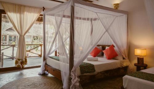 Double Room with Terrace