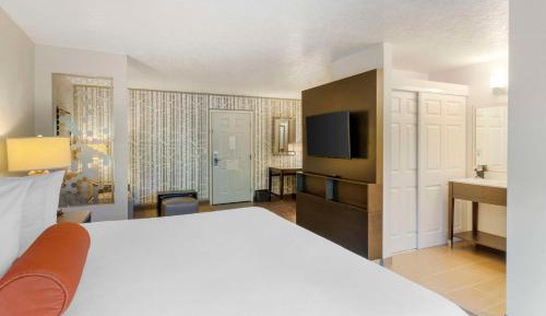 King Suite with Sofa Bed - Not Pet Friendly 