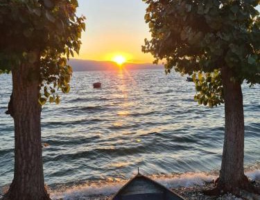 Studio with Lake View