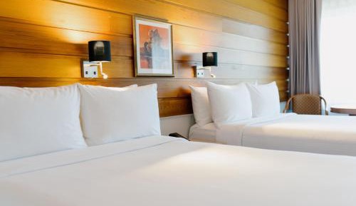 Standard Double Room with Two Double Beds