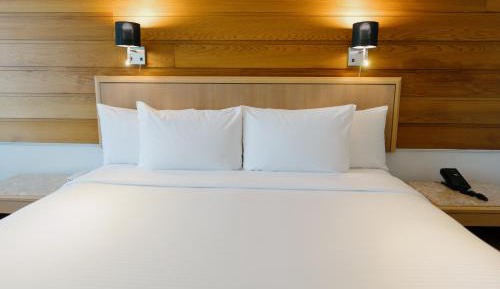 Business King Room