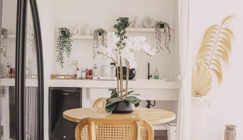 Exclusive Family Suite Villas