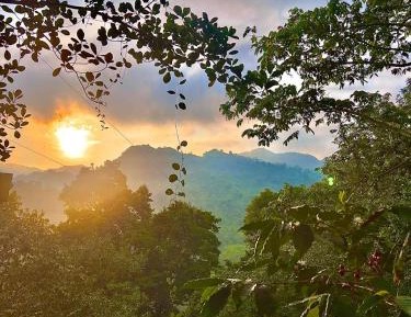 Double Room with Terrace