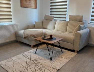 One-Bedroom Apartment with City View