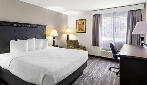 King Room - Pet Friendly/Mobility Accessible