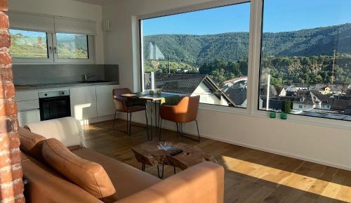 Penthouse Suite mit Moselblick