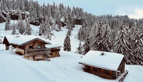 Chalet