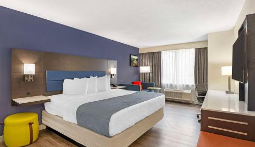 Executive King Room with Sofa Bed