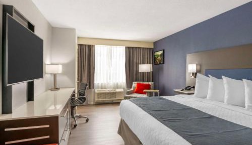King Room with Roll-In Shower - Disability Access