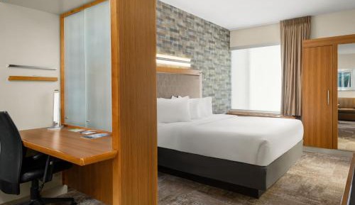 King Studio with Sofa Bed