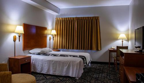 Large Single Room